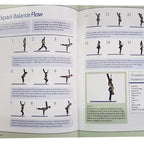 Aerialist's Guide to Surviving Pregnancy